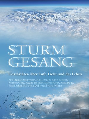 cover image of Sturmgesang